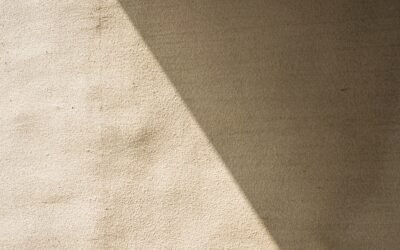 Wise Mind Meditation Script for Emotional Balance