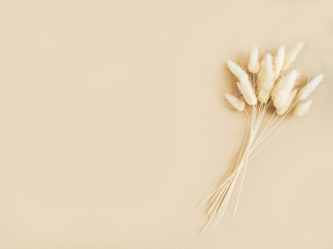 emotional healing, empowerment, self-compassion in healing, intuitive grief coach, energy healer, spiritual guide, Toni Cay Snyder