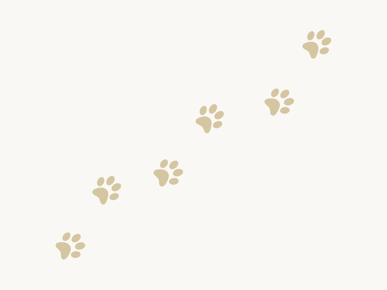 pet grief, intuitive grief coach, energy healer, spiritual guide, Toni Cay Snyder