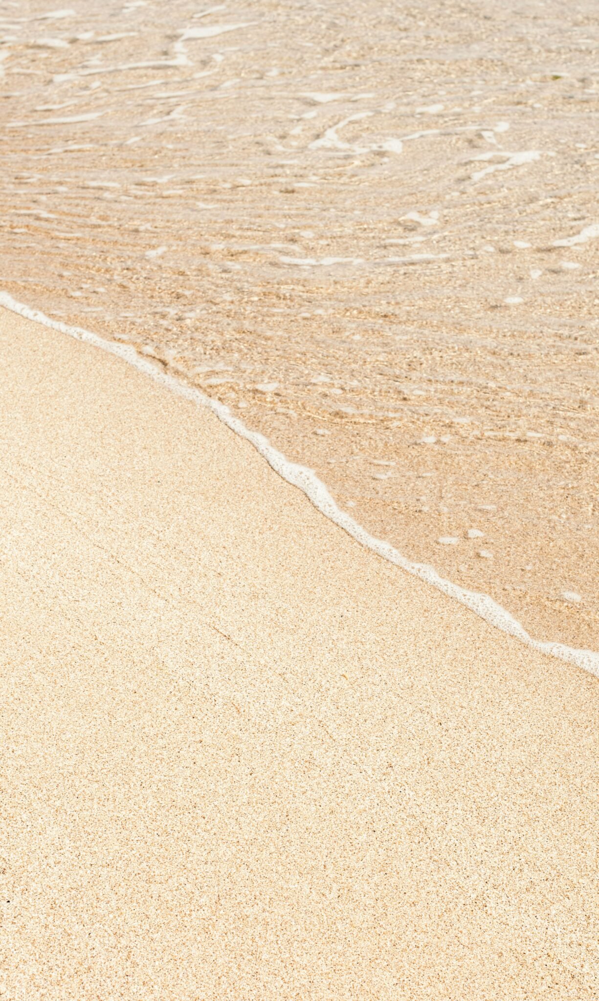 morning meditation, healing, intuitive grief coach, energy healer, spiritual guide, Toni Cay Snyder