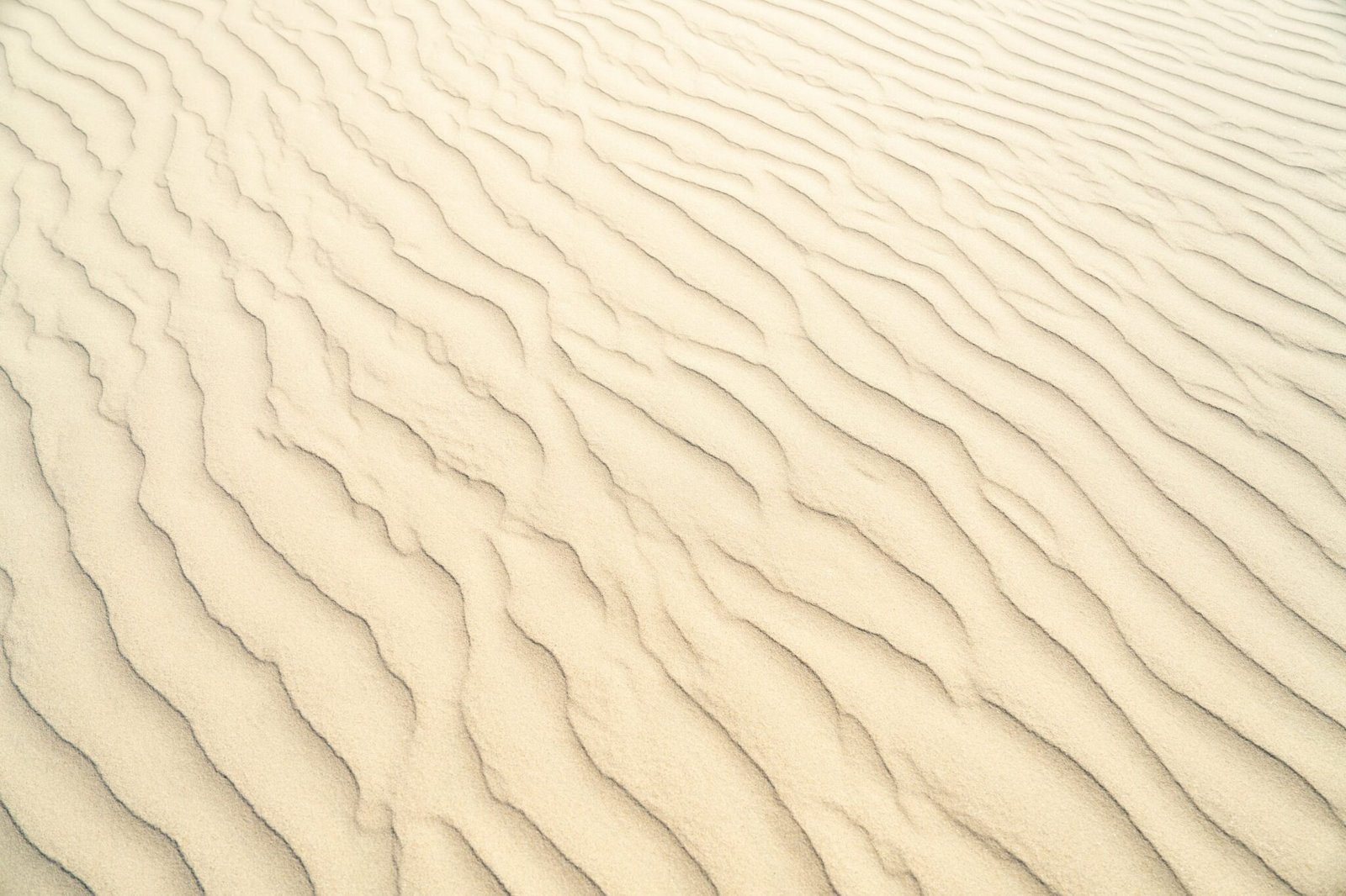 emotional healing, empowerment, guilt and regret, intuitive grief coach, energy healer, spiritual guide, Toni Cay Snyder