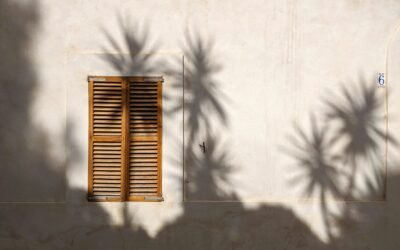 Reinventing Yourself After Loss: Your Midlife Phoenix Moment